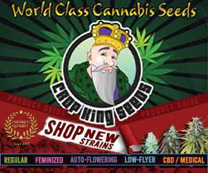 Crop King Seeds (COM) - Shop New Strains World Class Cannabis Seeds 300x250