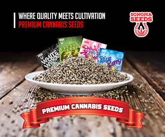 Sonoma Premium Cannabis Seeds (336x280)