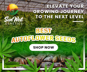 Best Autoflower Seeds Sunwest Genetics (336x280)