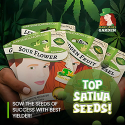 Maryjane's Garden Top Sativa Seeds (250x250)